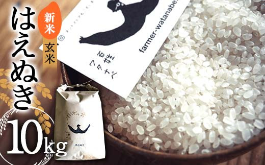 
            【令和7年産 新米 先行予約】 はえぬき (玄米) 10kg 《令和7年10月上旬～発送》 『最上園』 米 ご飯 農家直送 山形県 南陽市 [2180-R7]
          