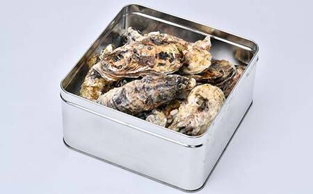 北海道噴火湾産 牡蠣のガンガン焼き 1.5kg 海産物 加工品 ほたて 帆立 ホタテ 魚介類 海鮮 森町 ふるさと納税 mr1-0982