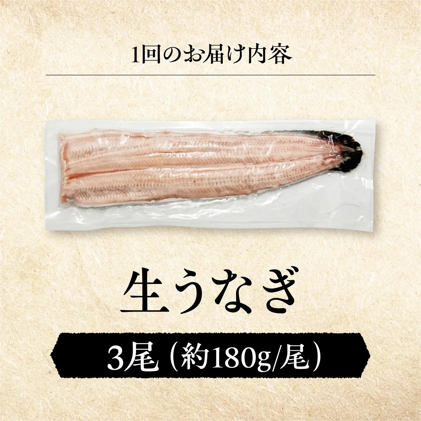 【全12回定期便】 鰻 美陵鰻の生鰻 3尾 / 美陵鰻 鰻 うなぎ ウナギ 蒲焼 蒲焼き かば焼き 白焼き 白焼 肉厚 うな重 うな丼 タレ 山椒 国産 スタミナ 土用 丑の日 土用の丑の日 贈答 ギ