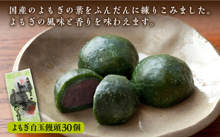 ＜地元でも大人気！＞冷凍白玉饅頭詰合せ Dセット 佐賀県/白玉饅頭元祖吉野屋[41AACQ004]