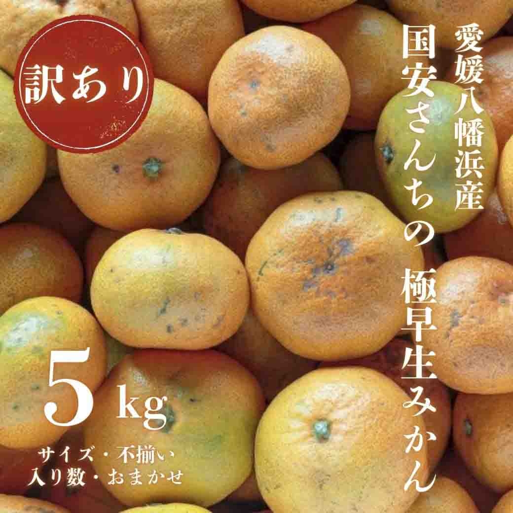 
                  ＜創業85年 親子4代 愛媛みかん 一筋＞愛媛八幡浜産 訳あり 極早生みかん 5kg＜C20-46＞【1594915】 YWTI041
                