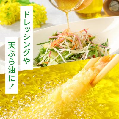 ふるさと納税 天草市 天草市宮地岳産食用菜種油ナナシキブ2本_S094-002 |  | 03