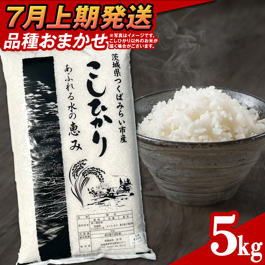 【 7月上期発送 / 数量限定 】茨城県つくばみらい市産 精米 5kg (品種おまかせ） 令和6年産 こしひかり 米 コメ こめ 単一米 限定 茨城県産 国産 美味しい お米 おこめ おコメ