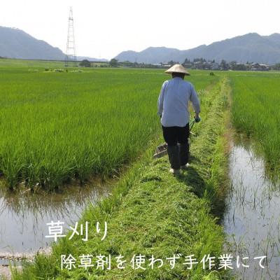 ふるさと納税 関川村 【毎月定期便】[極上]こだわり米 岩船産コシヒカリ精米6kg(3kg×2袋)[奥越後の百姓屋]全3回 |  | 03