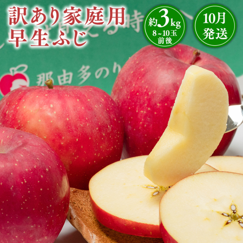 10月発送 【訳あり】家庭用早生ふじ 約3kg 【那由多のりんご園・平川市産】