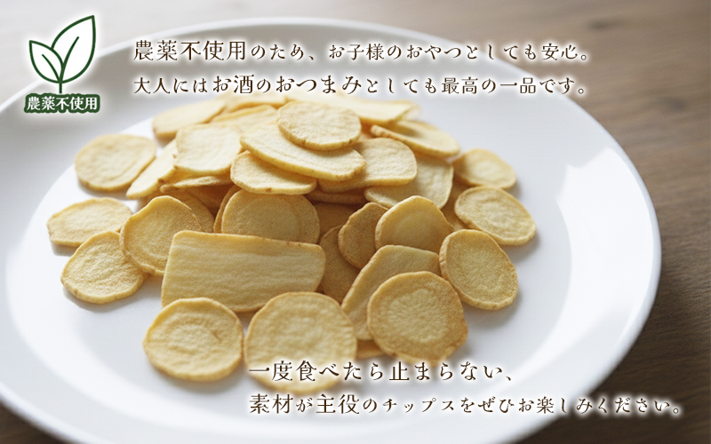 パースニップチップス (25g×6袋)