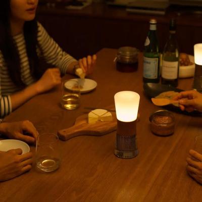 ふるさと納税 京都市 【世界初の全方位受光ソーラー】スフェラーランタン 2色セット(砂時計型のソーラーランタン) |  | 03