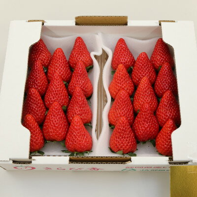 【ふるさと納税】きらぴ香セット(6パック)【配送不可地域：離島・北海道・沖縄県・四国・九州】【1676945】