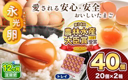 【 定期便 12回 】メディア紹介多数！ 永光卵 40個 卵 たまご 選べる 個数 回数 トレイ タイプ | 送料無料 えいこうらん 光永ファーム みつなが タマゴサンド だし巻きたまご おいしい卵 ゆうパック 君津市 きみつ 千葉県 すぐ届く