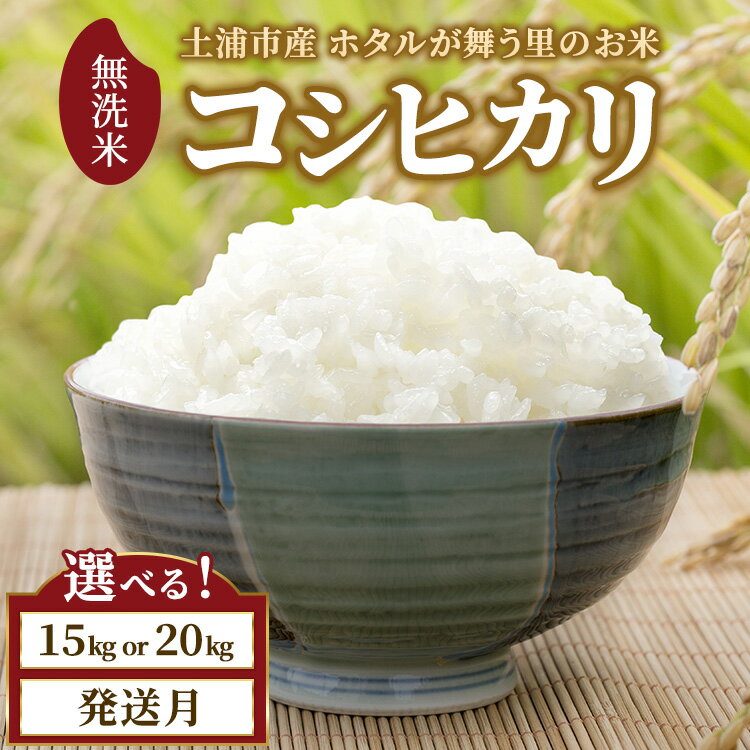 【ふるさと納税】【選べる容量・発送月】令和7年産 土浦市産 コシヒカリ 無洗米 ホタルが舞う里のお米 ※離島への配送不可
