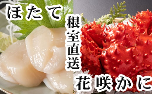 
            A-70063 花咲かに300g前後～450g前後×1尾、ほたて貝柱200g
          