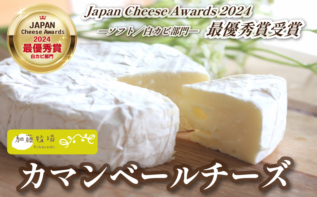 【国内コンテスト最優秀賞受賞！】カマンベールチーズ 1個 100g （チーズ 国産 乳製品 生乳 国産チーズ ノンホモ 手作り 人気）