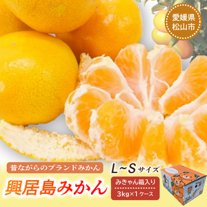 【2026年11月下旬頃から順次発送】興居島みかん 約3kg（L?Sサイズ） みかん 柑橘 興居島 ごごしま ブランド 愛媛県 松山市【SSK018】