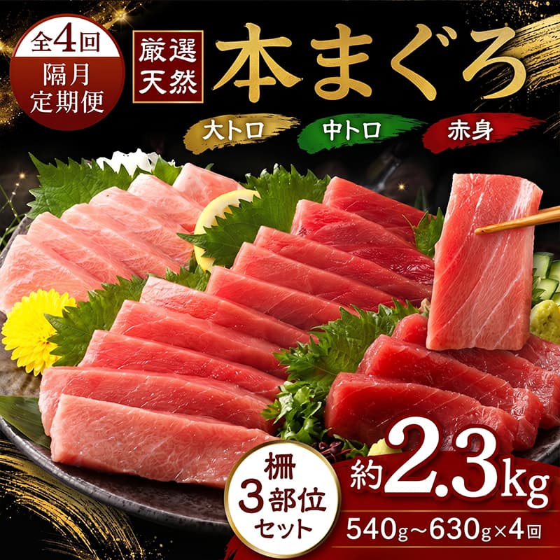【ふるさと納税】 【 定期便 全4回 隔月 】 厳選天然本まぐろ大トロ 中トロ 赤身 お刺身用 2カ月に1回　合計4回 サク 柵 スライス 切り落とし 天然まぐろ 天然マグロ まぐろ 鮪 刺身 お刺身 高知 室戸 冷凍 瞬間冷凍 小分け 便利 訳あり 規格外 高知県 室戸市