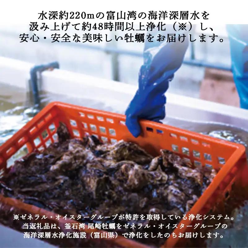 fn-42-004 ＜11月頃より順次発送予定＞【海洋深層水仕込み】釜石湾・尾崎牡蠣　20個セット 海洋深層水かきセンター