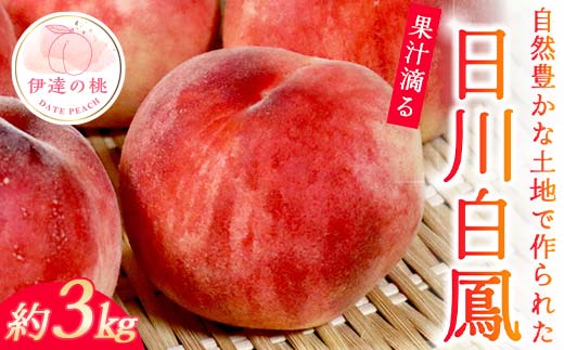 
                  【2026年出荷分先行予約】福島県産 日川白鳳 約3kg 玉数はおまかせ はこざきフルーツ 伊達の桃 桃 フルーツ 果物 もも モモ momo F21C-433
                