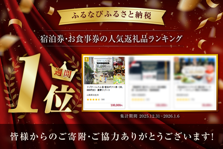 リゾナーレ八ヶ岳 宿泊ギフト券（30,000円分） 星野リゾート [h099]