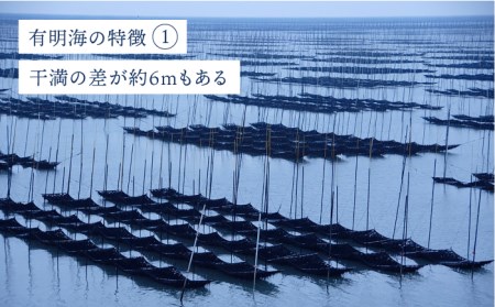 【全3回定期便】＜焼きのり・味付けのり＞佐賀海苔 有明の華 株式会社サン海苔/吉野ヶ里町 [FBC048]