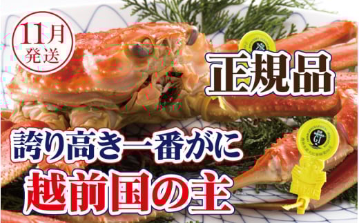 越前がに × 1杯（一番蟹）桐箱入り！越前国の主！越前がにの象徴【雄 ズワイガニ かに カニ 蟹 姿 生 ボイル 冷蔵 福井県】【11月発送分】【浜茹でお届け】希望日指定可 備考欄に希望日をご記入ください [e37-x010_11b]