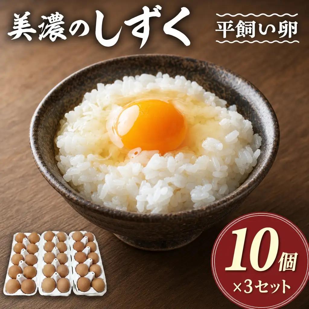 たまご 『美濃のしずく』30個入 コケコッコ村の新鮮たまご