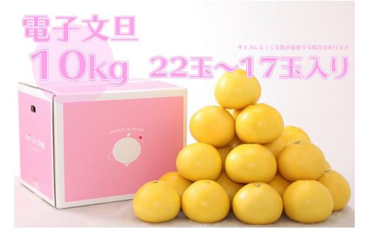 ハッピーフルーツ果樹園の電子文旦10kg贈答用