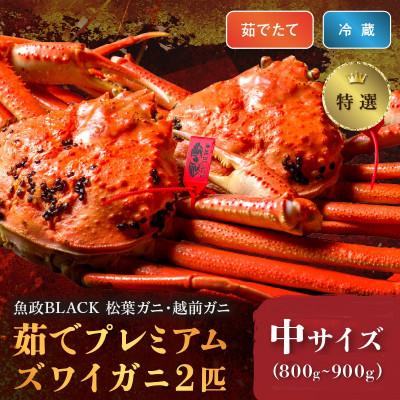 ふるさと納税 京丹後市 茹でプレミアムズワイガニ(松葉・越前)魚政BLACK特撰 中サイズ　2匹(2026年1月〜発送)