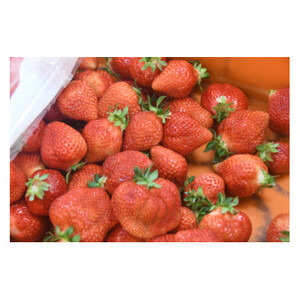 【期間限定】あまおうDX(デラックス)4パック(大牟田市)_果物・フルーツ いちご  イチゴ 苺_【配送不可地域：離島・北海道・沖縄県・東北】【1550974】