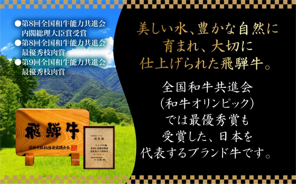 飛騨牛 もも 焼肉用 600g 飛騨牛 タレ付 和牛 国産和牛 黒毛和牛 食べ比べ モモ 和牛 ブランド牛 飛騨高山 ながせ食品 c573