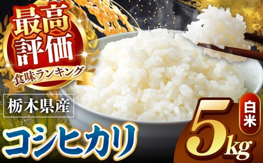 【先行予約】令和8年度産 白米 約5kg こしひかり |  米 お米 こめ 白米 ご飯 ごはん もちもち コシヒカリ 限定 ふるさと納税  栃木県 真岡市 送料無料