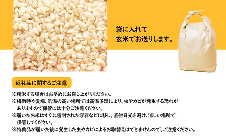 数量限定 岩手県産 あきたこまち 玄米 10kg 【ユニティファーム】 米 こめ コメ スーパーフード ヘルシー ごはん ご飯 ライス 国産 産地直送 農家直送 期間限定 おにぎり 弁当 おすすめ 人