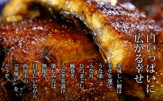 【期間限定】三河産　超特大うなぎ「蒲焼冷凍×2尾」・A090-17