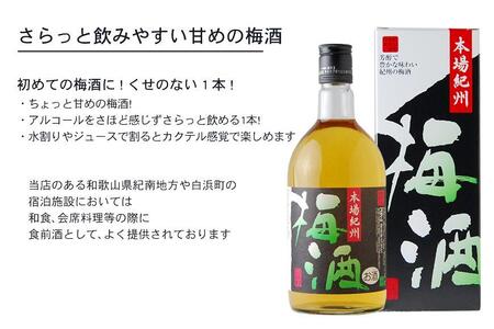 本場紀州 梅酒 6本セット