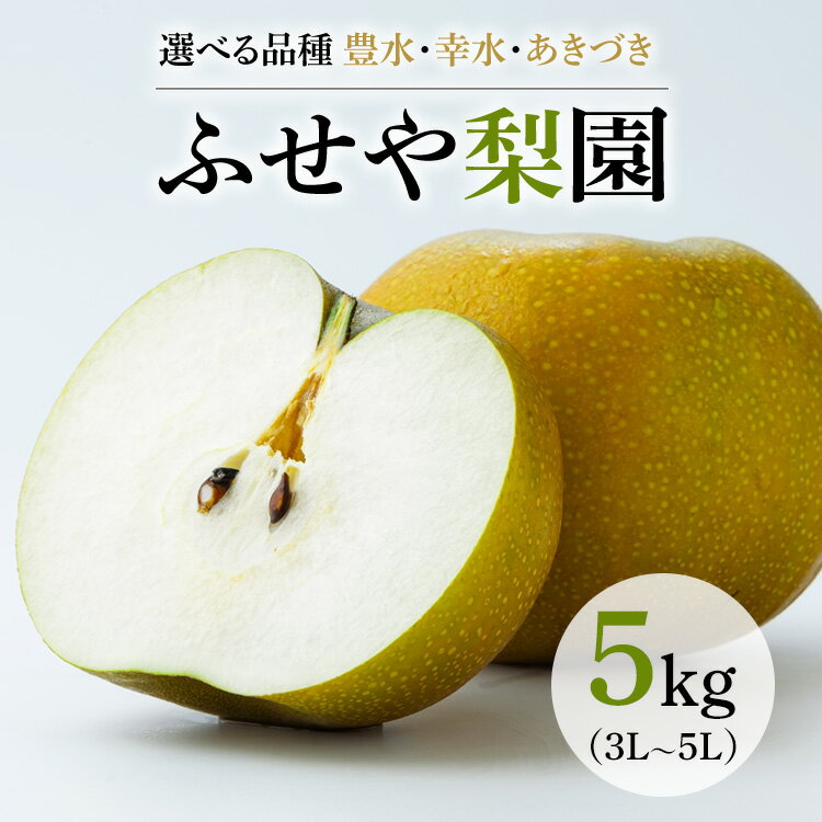 【ふるさと納税】【選べる品種】幸水 豊水 あきづき 5kg 【ふせや梨園】| 農家直送 梨 ナシ 果物 フルーツ 宇都宮市 栃木県 ※2025年8月下旬頃より順次発送予定