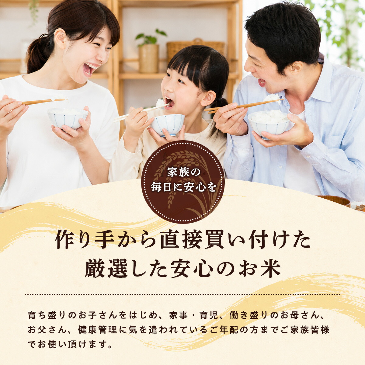 令和8年産 あきたこまち 白米 5kg 秋田県産 米 一等米 ブランド米 5キロ 精米 精米したて 一人暮らし 秋田 能代 能代市 送料無料 《こまちライン》