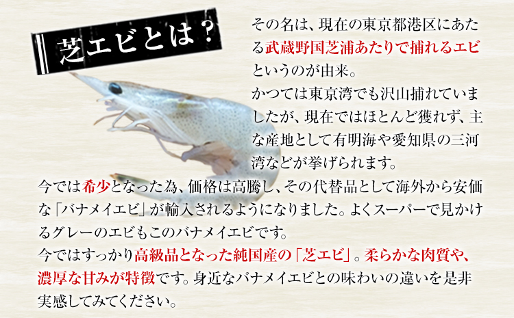 海老 エビ 釜揚げ一夜干し 芝えび (800g) 約200尾 えび 《45日以内に出荷予定(土日祝除く)》 内野海産