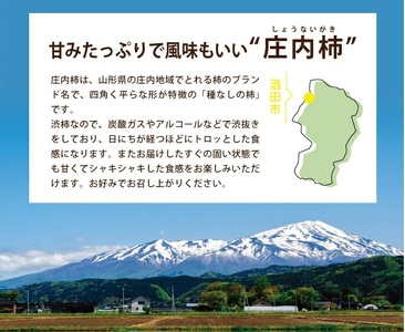 SC0690　庄内柿　約10kg(5kg×2箱) 50～62玉入 L～4Lサイズ