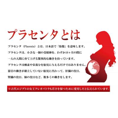 ふるさと納税 湖西市 サラブレッドプラセンタ【5箱セット】(1箱30粒入) |  | 01