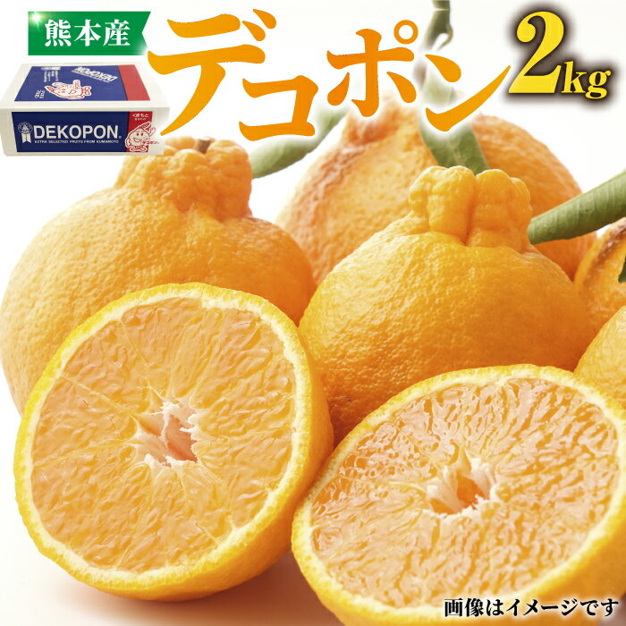 【ふるさと納税】【先行予約】デコポン 約2kg【かきやま果実】[ZCJ001] デコポン 不知火 みかん 8玉 産地直送 国産 熊本 山鹿市