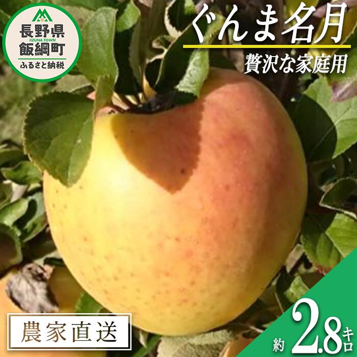 【ふるさと納税】 りんご ぐんま名月 贅沢な 家庭用 2.8kg 信州りんご☆小山園☆ 沖縄県への配送不可 令和7年度収穫分 エコファーマー認定 小山園 長野県 飯綱町 〔 信州 果物 フルーツ リンゴ 長野 12000円 予約 農家直送 〕発送時期：2025年11月中旬〜2025年11月下旬