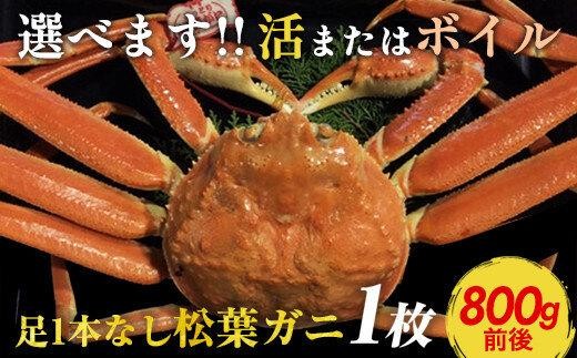 
            【早期受付】【選べます！活またはボイル】足1本なし 訳あり 松葉ガニ 大1枚（800g前後）※着日指定不可※2025年11月上旬頃から順次発送予定 ｜ 蟹 かに 松葉ガニ 松葉蟹 訳あり 家庭用 鳥取県産 北栄町 おすすめ 人気
          