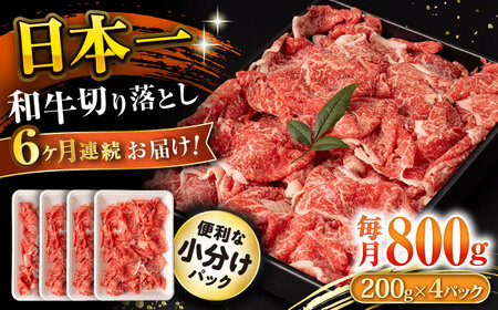 【6回定期便】長崎和牛 切り落とし 800g/月（総計4.8kg） / 牛肉 切り落とし 切りおとし きりおとし すき焼き 小分け / 大村市 / おおむら夢ファームシュシュ[ACAA227]