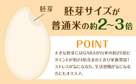 巨大胚芽米COCORO 玄米 約5kg【配送不可地域あり】 (離島) ドリームクリエイト早瀬農産 早瀬亨《2026年10月中旬-11月中旬頃出荷》 岡山県 浅口市 岡山県産 米 コメ こめ 玄米 送料