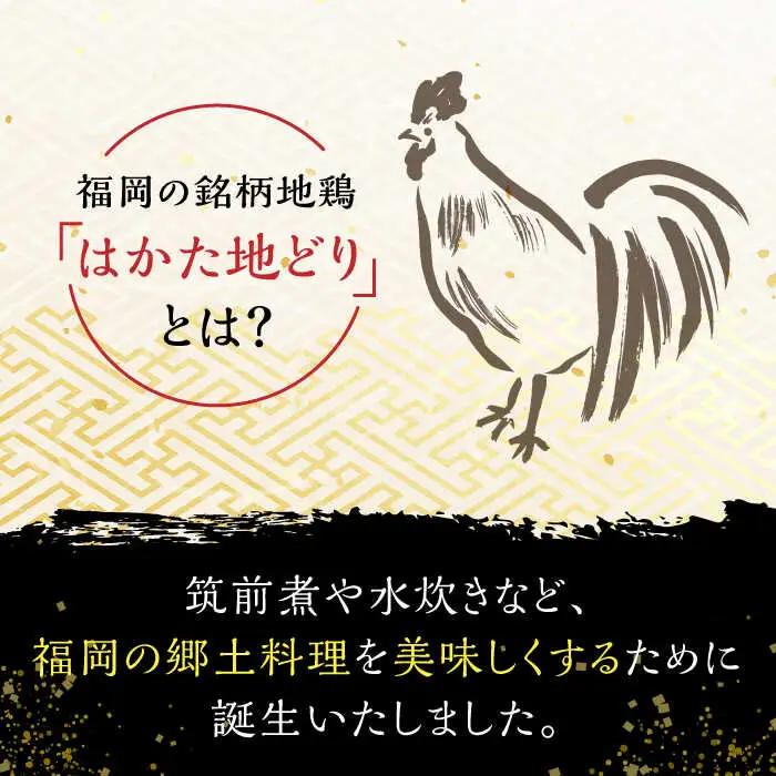 はかた地どり炭火焼きセット500g(100g×5p) 桂川町/株式会社 MEAT PLUS [ADAQ087] 地鶏 鶏肉 炭火 炭火焼き 九州産 地鶏の炭火焼 鶏 肉 小分け