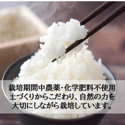 ふるさと納税 小矢部市 栽培期間中農薬・化学肥料不使用　こしひかり　玄米 5kg×1袋(5kg) |  | 01