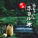 【ふるさと納税】【 令和6年産 新米 】 さがびより 10kg ( 5kg×2袋 ) | さがびより 永石さんちのホタル米 白米 お米 10kg 10キロ こめ コメ 米 ごはん z-60