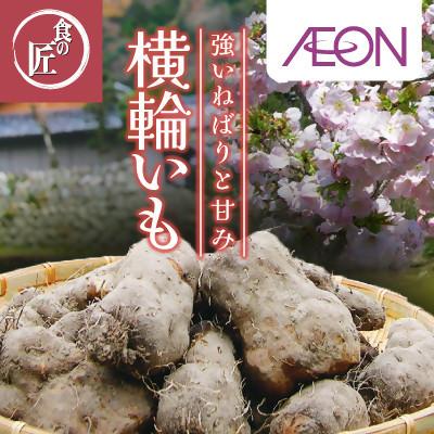 ふるさと納税 伊勢市 伊勢の横輪いも 1859