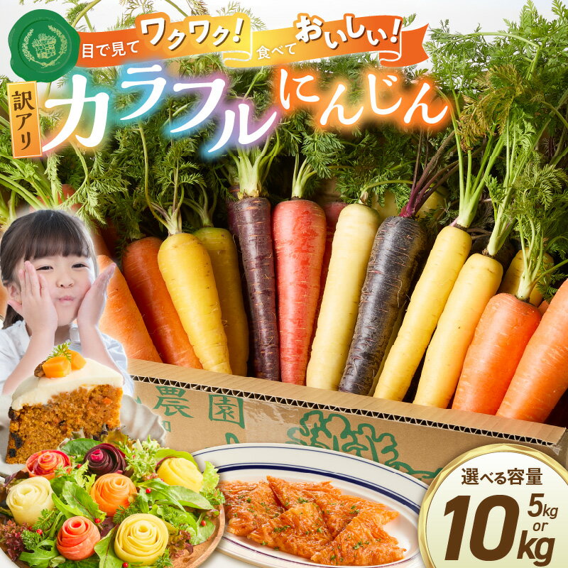 【ふるさと納税】期間限定 訳あり 虹色 カラフルにんじん 選べる 容量 5kg 10kg 予約受付 規格外 人参 塩農法 ご家庭用 野菜 農家直送 ジュース サラダ スウィートキャロットリリィ βカロテン ポリフェノール リコピン お取り寄せ 愛知県 碧南市 送料無料