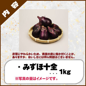 なす 1kg 約15個 みずほ十全 なす なす なす なす なす なす nozofarm002