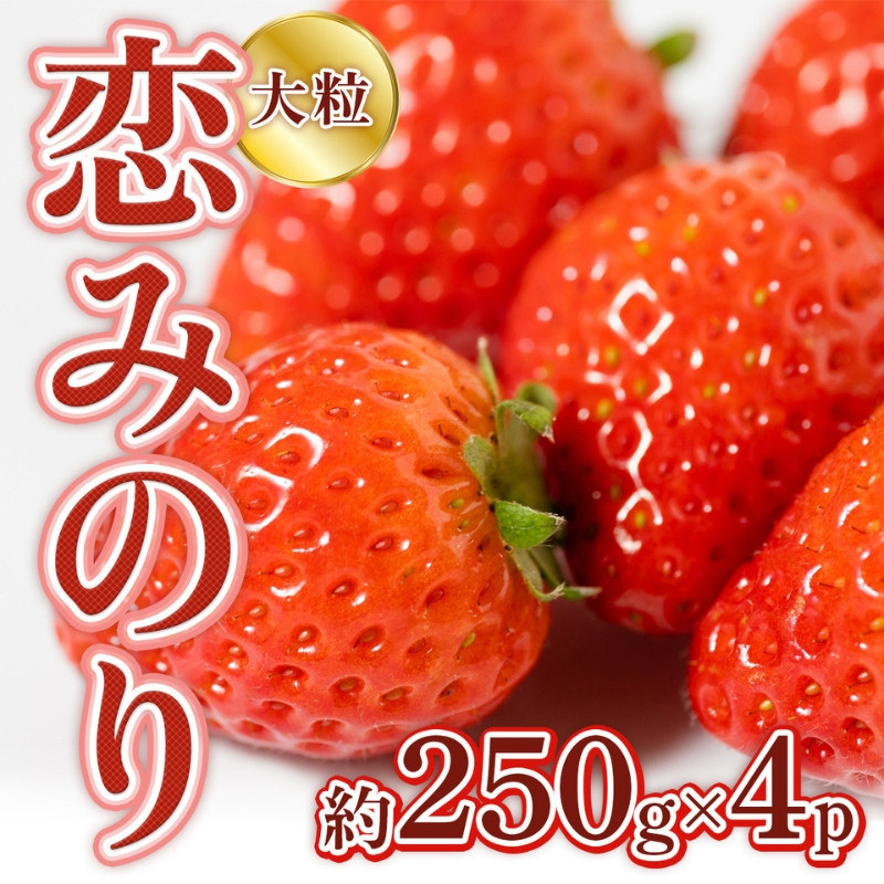
            いちご 先行予約 約250g×4P 3Lサイズ 錦町産 恋みのり 苺 イチゴ デザート フルーツ 2025年1月上旬より順次発送 配送不可:離島
          