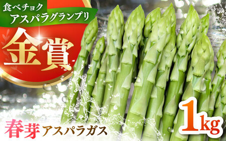 【先行予約】春芽アスパラガス 約1kg / アスパラ [ICW001]